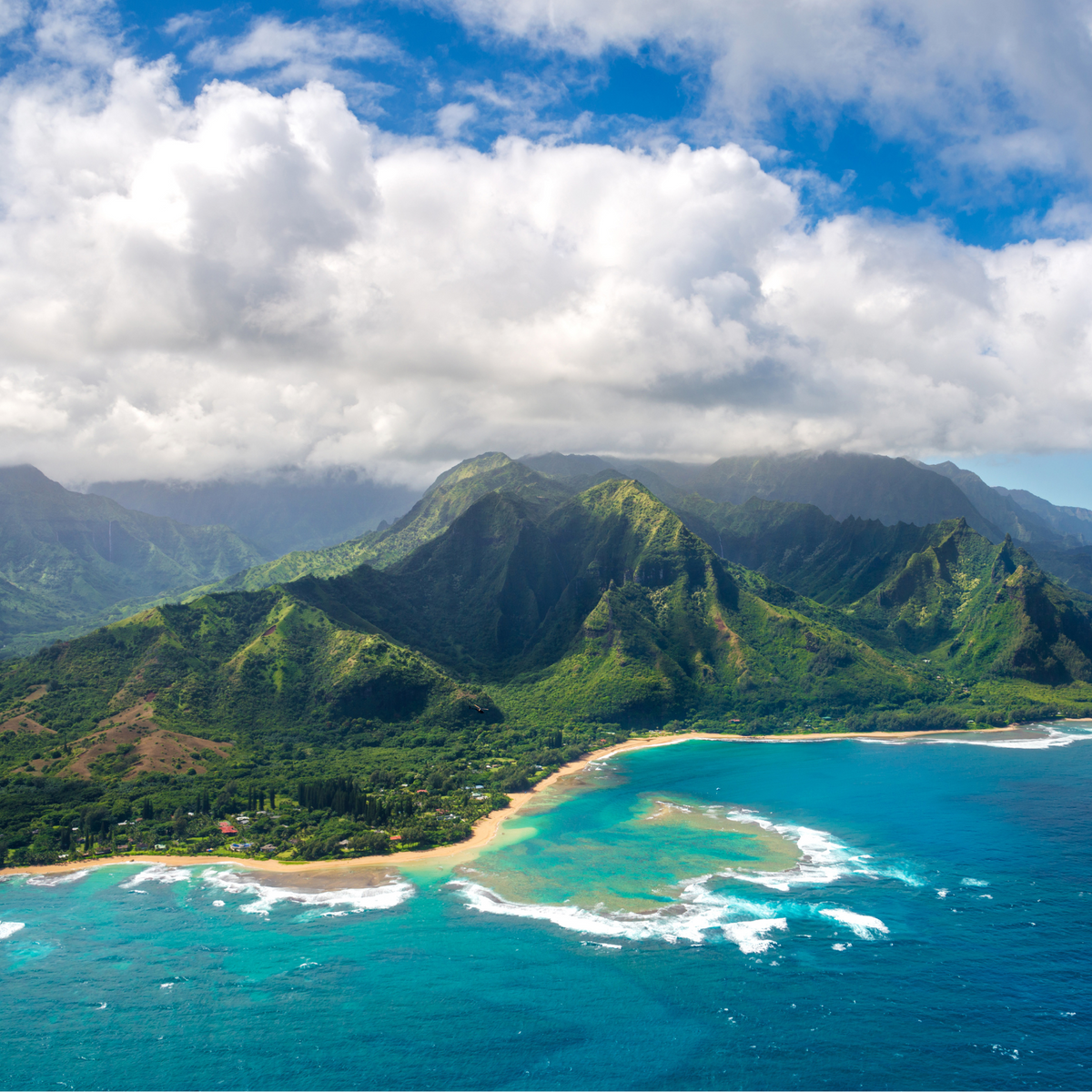 Hawaii Island Land Essence