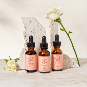 Yellow Pearl Rose - Love Languages Essence Collection