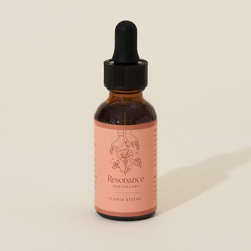 California Wild Rose Flower Essence